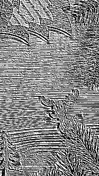 Skamielina