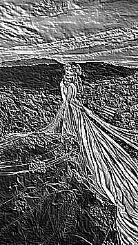 Skamielina