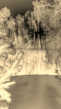 Sepia + Negatyw
