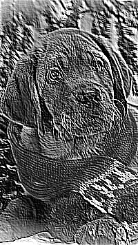 Skamielina