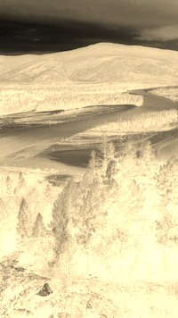 Sepia + Negatyw