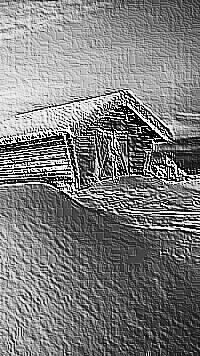 Skamielina