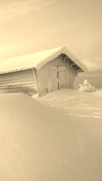 Szary + Sepia