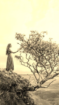 Szary + Sepia