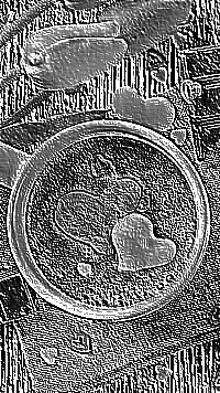 Skamielina