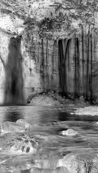 Szary + Negatyw
