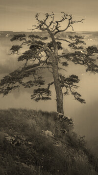 Szary + Sepia