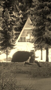 Szary + Sepia