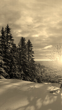 Sepia