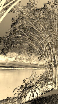 Sepia + Negatyw