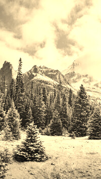 Szary + Sepia