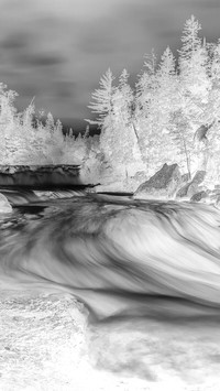 Szary + Negatyw
