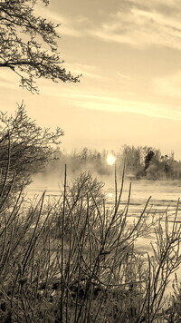 Sepia
