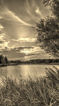 Szary + Sepia
