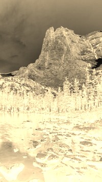 Sepia + Negatyw