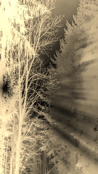 Sepia + Negatyw