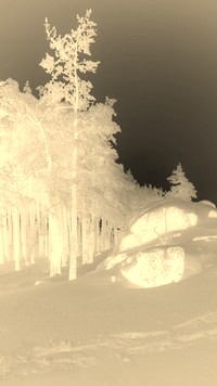 Sepia + Negatyw