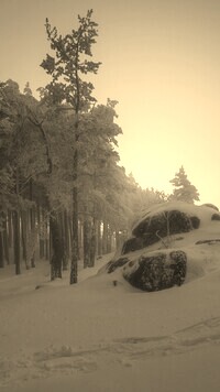Szary + Sepia