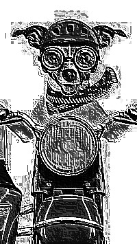 Skamielina