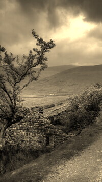 Szary + Sepia