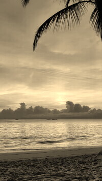 Szary + Sepia