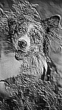 Skamielina