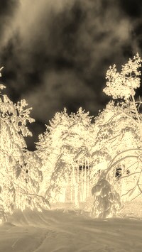 Sepia + Negatyw
