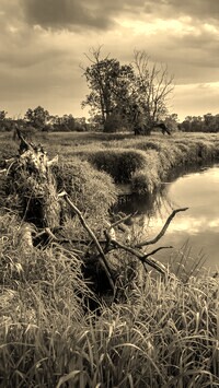 Szary + Sepia