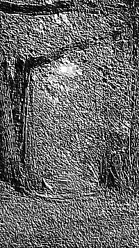 Skamielina