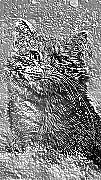Skamielina