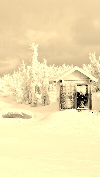 Szary + Sepia