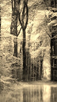 Szary + Sepia