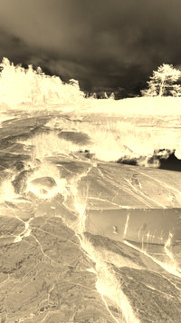 Sepia + Negatyw