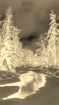 Sepia + Negatyw