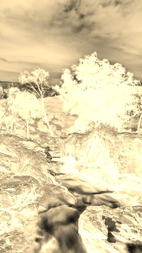 Sepia + Negatyw