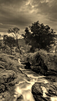 Sepia