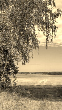 Szary + Sepia