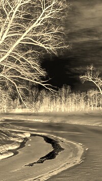 Sepia + Negatyw
