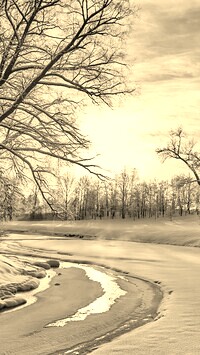 Szary + Sepia