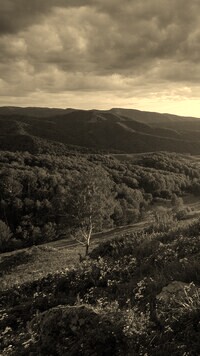 Sepia