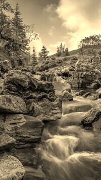 Sepia