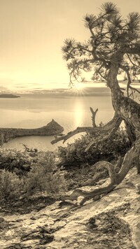 Sepia