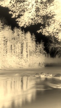 Sepia + Negatyw