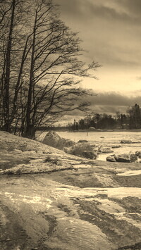 Szary + Sepia