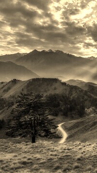 Sepia