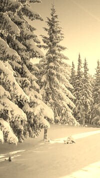 Szary + Sepia