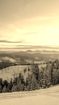 Sepia