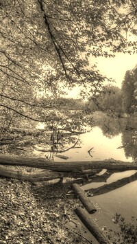 Szary + Sepia