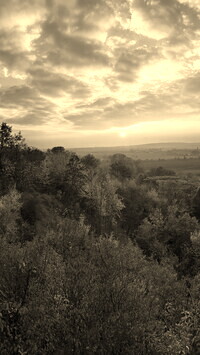 Sepia