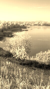 Sepia